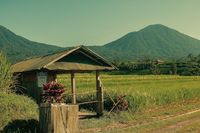 Sustainable Living: Small Changes with Big Impact